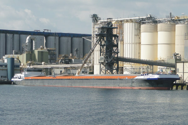 Eleveld Transport Michaelangelo 1